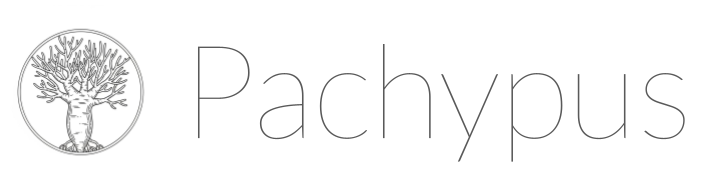 株式会社パキプス